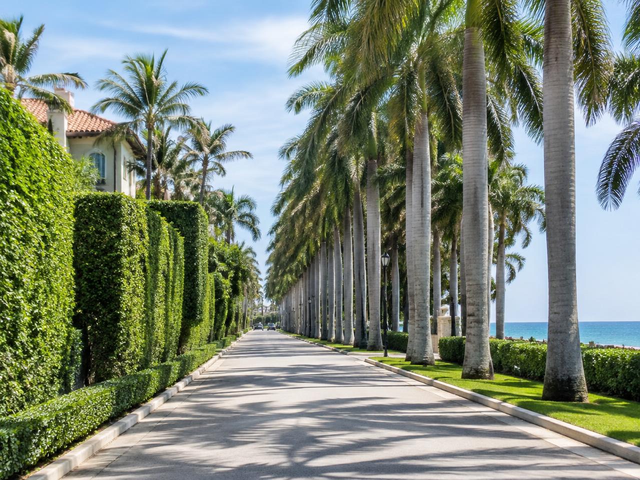 Palm-lined avenue in Palm Beach